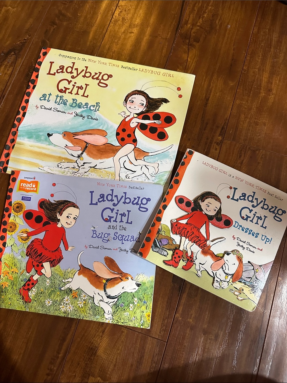 Ladybug Girl Book Lot 3 At the Beach Bug Squad Dresses Up David Soman Jacky Davi